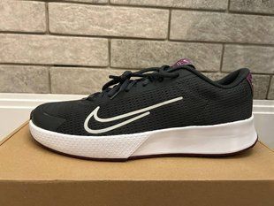 Тенісні чоловічі кросівки Nike Vapor Lite2 314-1 фото
